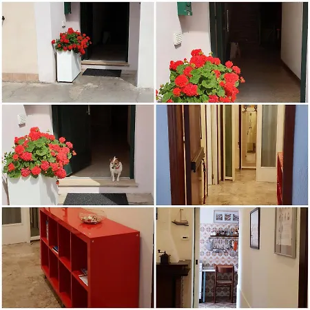 Casa Al Mare Di Happy Апартаменты Чивитанова-Марке